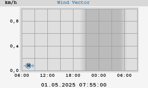 Wind Vector